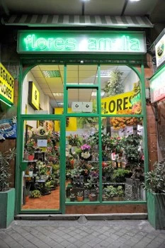 Flores Amalia Madrid