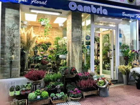 Floristería Cambria