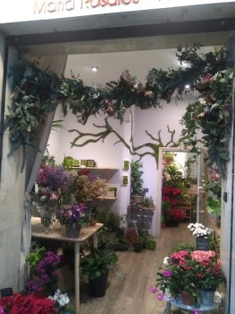 María Rosales Floristeria