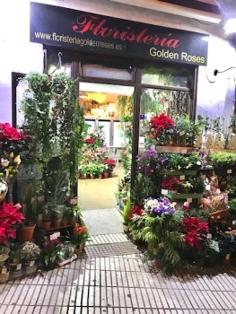 Floristeria Golden Roses