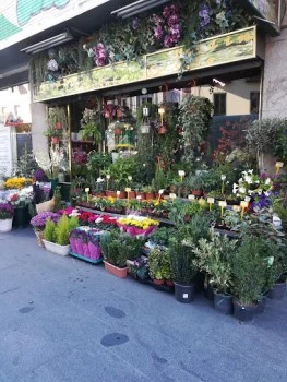 Floristería Jardín de Sala
