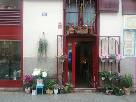 Flor de Lola