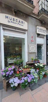 Muscari Flores