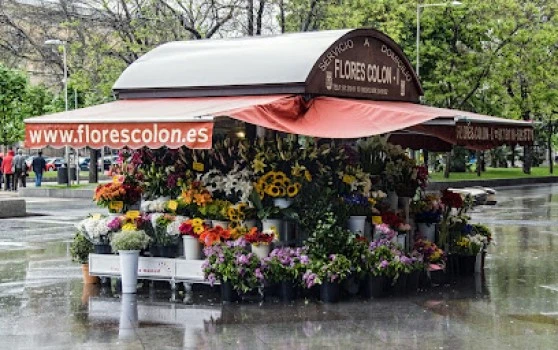 Flores Colón I