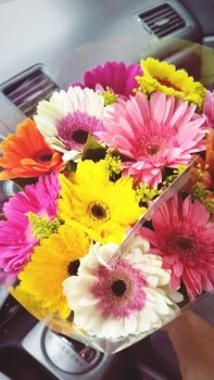 Flores alfonmar
