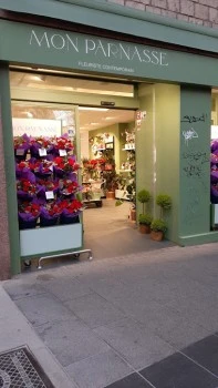 Mon Parnasse Flores