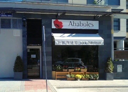 Ababoles Flores y Plantas