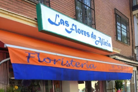 Floristería y herbolario Las Flores de Alicia