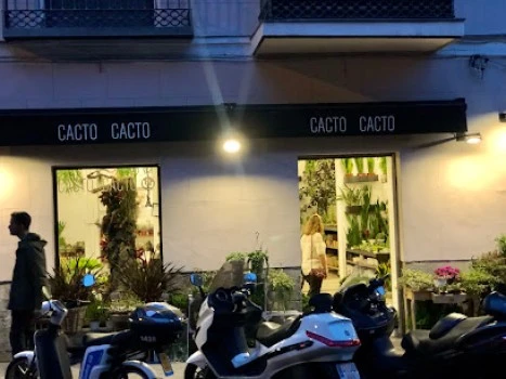 CACTO - CACTO by Margarita se llama mi amor