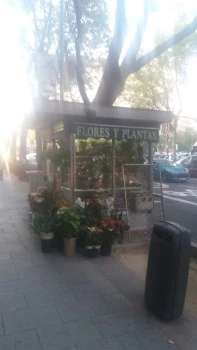 Floristería Princesa