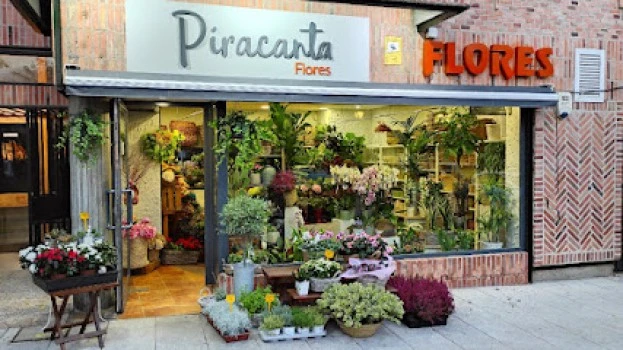 Piracanta Flores