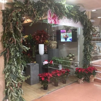 Floristería Las Peonías