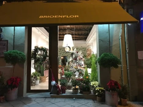 Floristería Brioenflor
