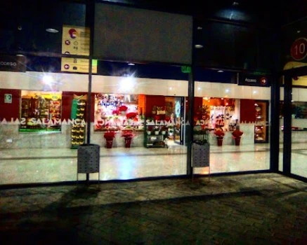 Andrea Floristería estación de autobuses de Salamanca