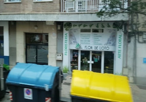 Flor de Loto