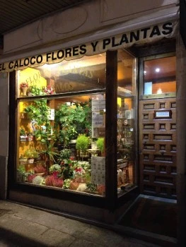 El Caloco Flores y Plantas
