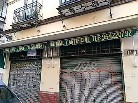 Hermanos Luque Floristería