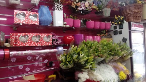 Floristería May