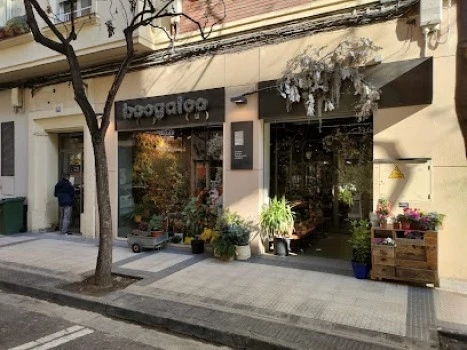 Boogaloo Taller Floral &amp; Vegetal | Floristería Zaragoza