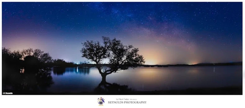 Reynolds Photography