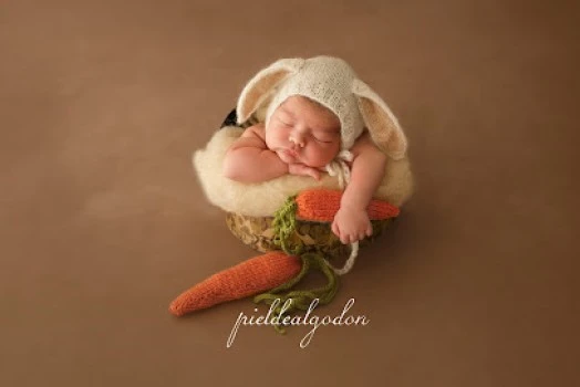 Pieldealgodon