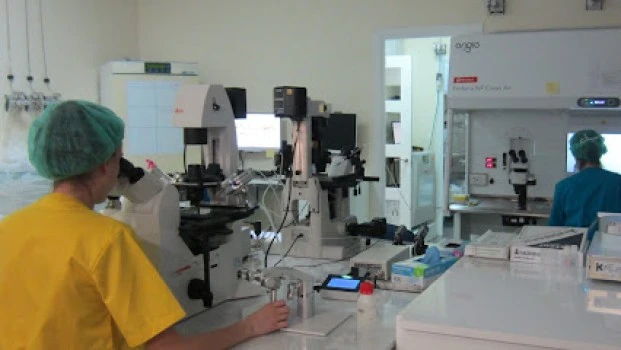 Ginemed Sevilla