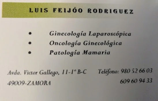 Luis Feijóo Rodríguez
