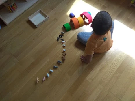 CASA AMIGA Dulces Miradas