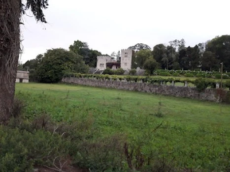 Jardineria M.R. Eiroa S.l