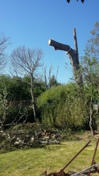 Poda en Altura Galicia, empresa de podas en Galicia.