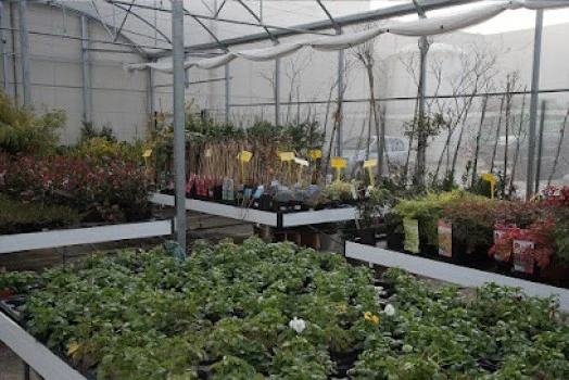 Centro de Jardinería Gorbeia