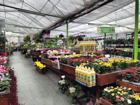 Mundo Verde-Garden Center????????