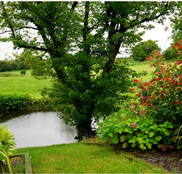 Jardineros Iberre