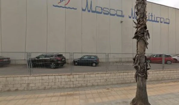 Mosca Maritimo