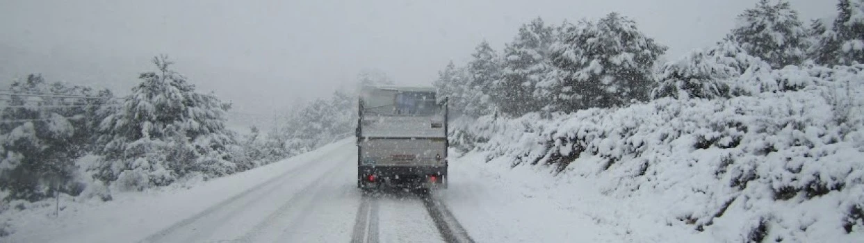 Transportes Braceli