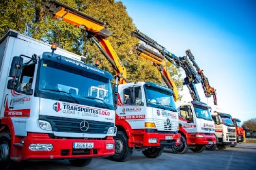 GRÚAS LOLO ELEVACIONES-Transportes y Cubas de Residuos