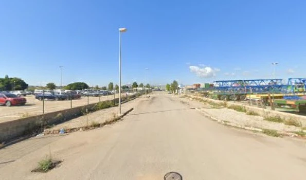 Campa Tradisa Palma