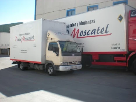 Mudanzas Moscatel