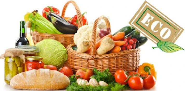 Nutricionista en Toledo. Pérdida de peso y Dietoterapia