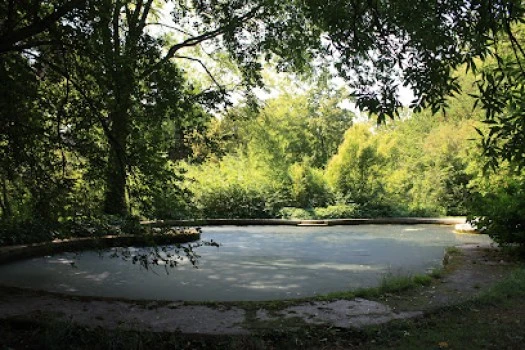 Estanque de los Cisnes