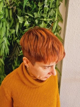 Santana Peluqueros (Alicante)