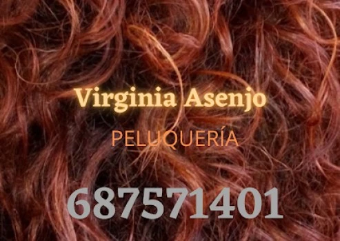 Peluquería Virginia Asenjo