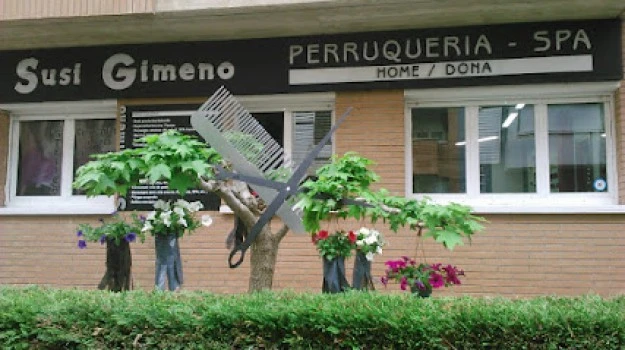 Peluquería Susi Gimeno