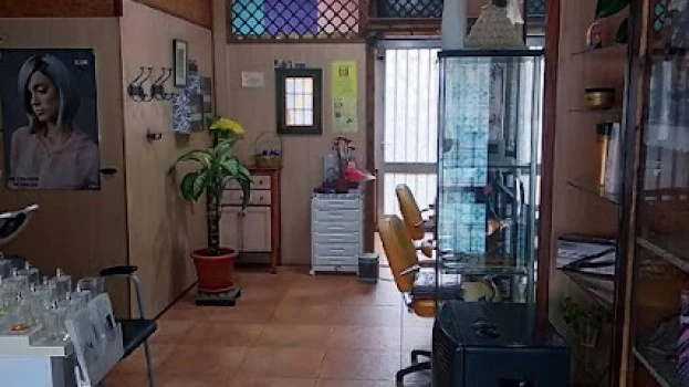 Peluquería Paraíso