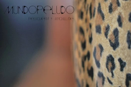 mundopeludo peluqueria y maquillaje organic hair salon