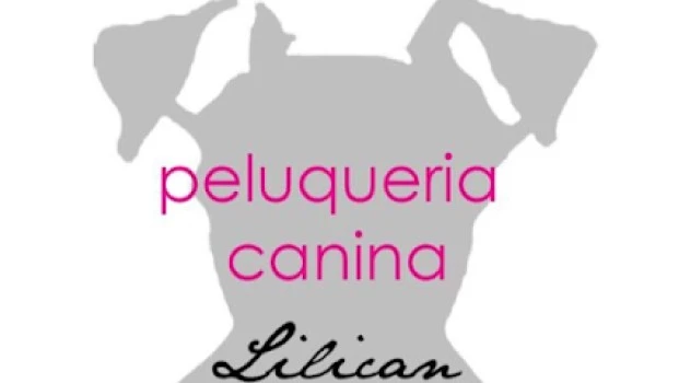 LILICAN