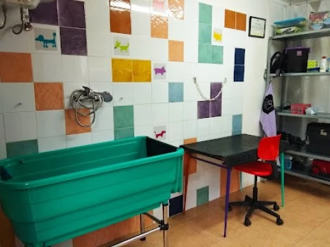 Peluquería Canina Mar
