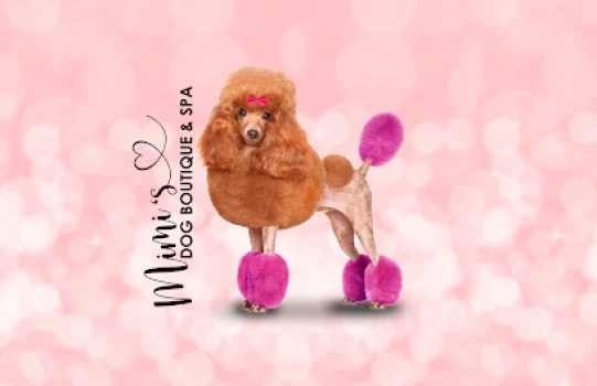Mimi's Dog Boutique &amp; Spa