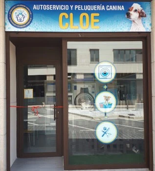 Autoservicio Y Peluquería Canina Cloe