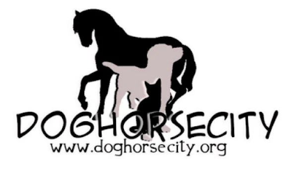 Dog Horse City Protectora (DogCity)